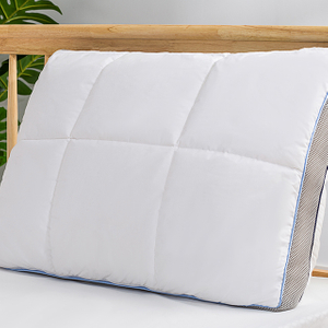 OUTLAST PILLOW
